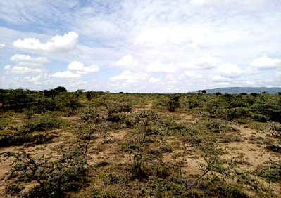 50-Acre Land at KSh 500k/Acre