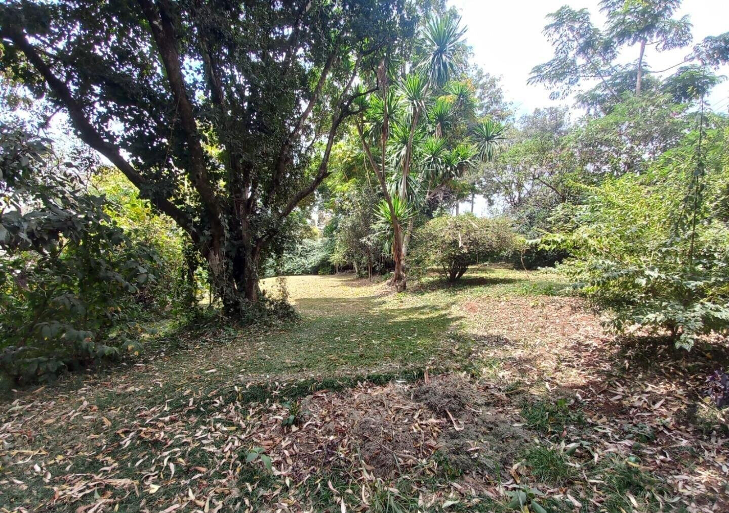 5-Acre Lavington Land at KSh 220M