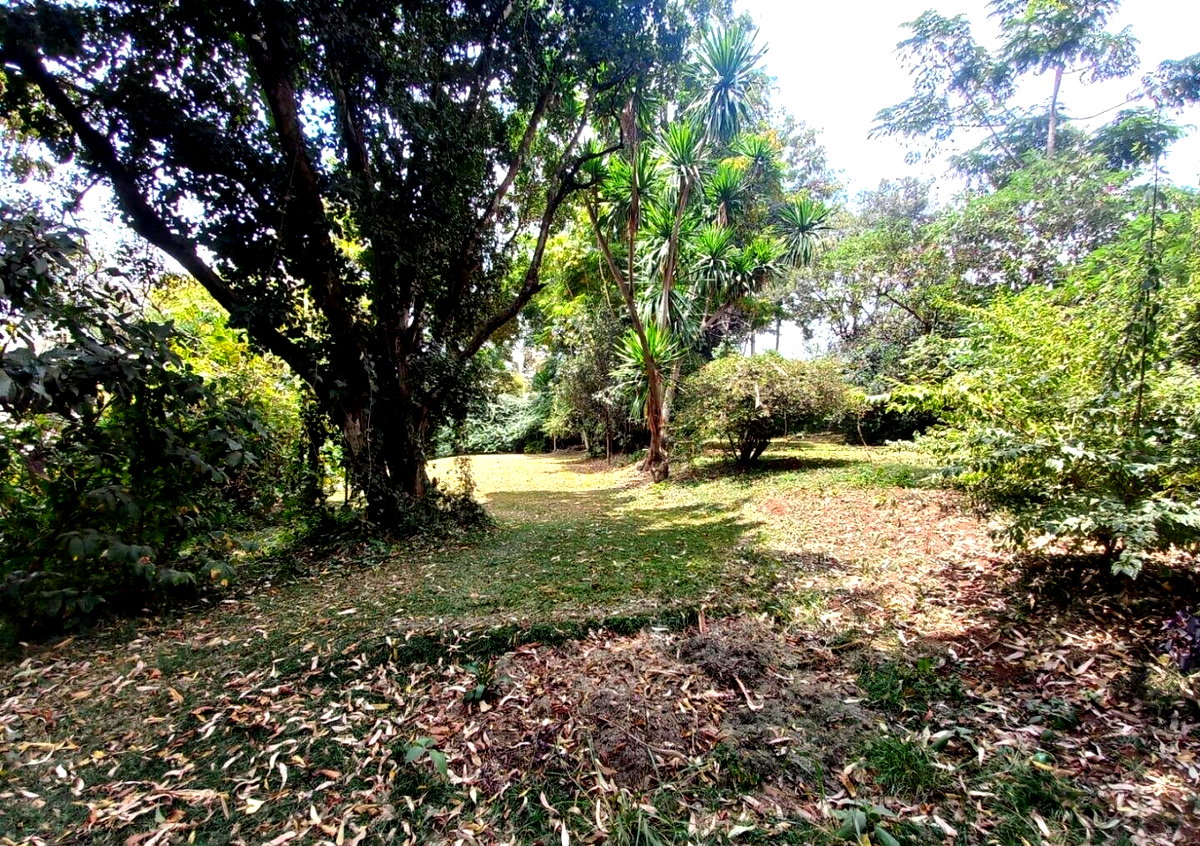 5-Acre Lavington Land at KSh 220M
