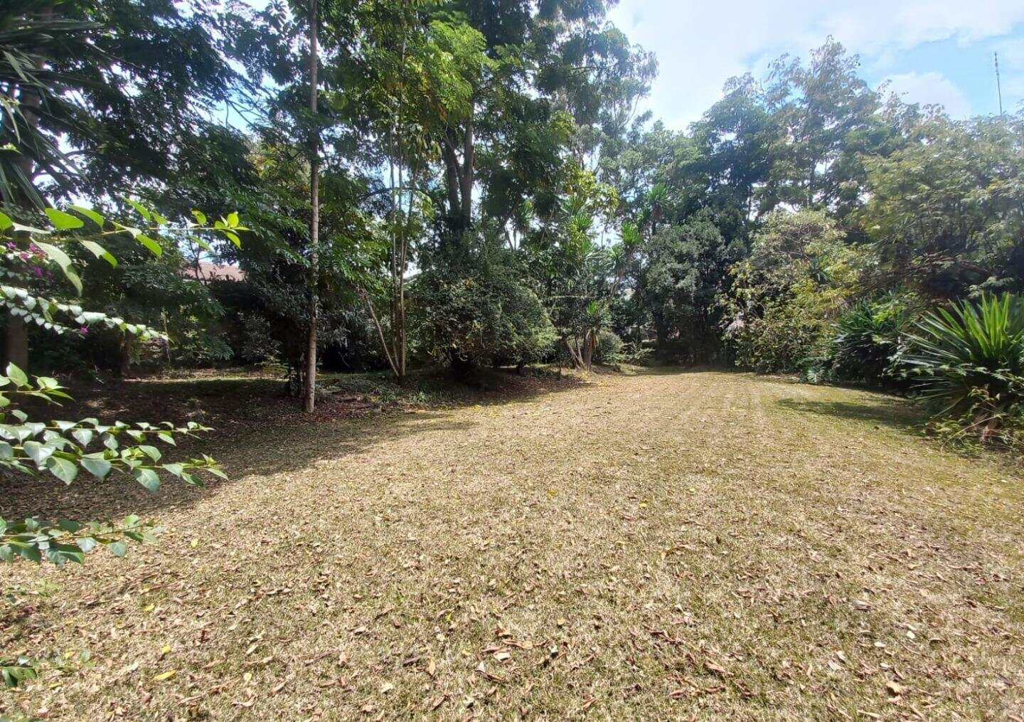 5-Acre Lavington Land at KSh 220M