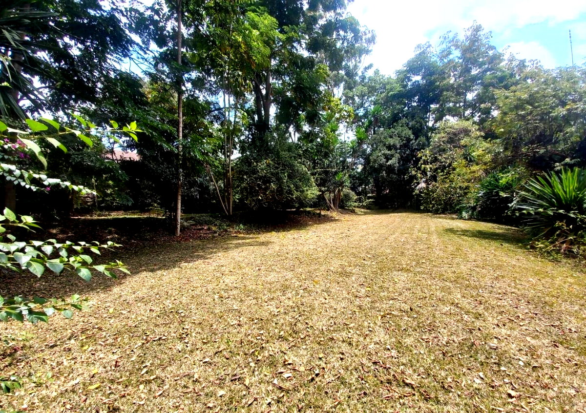 5-Acre Lavington Land at KSh 220M