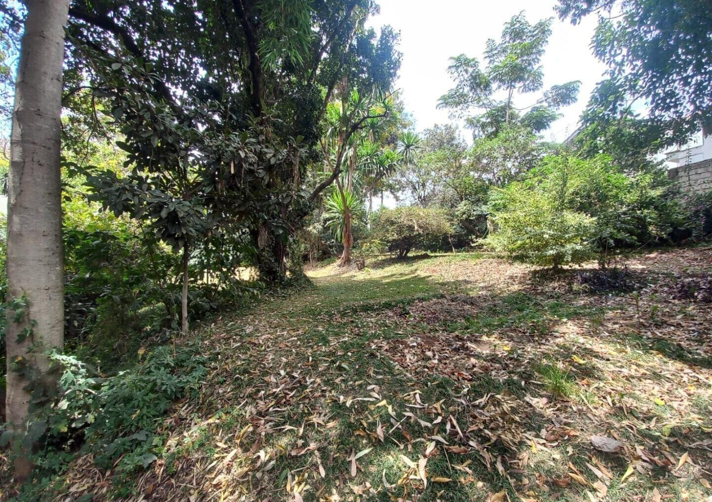5-Acre Lavington Land at KSh 220M
