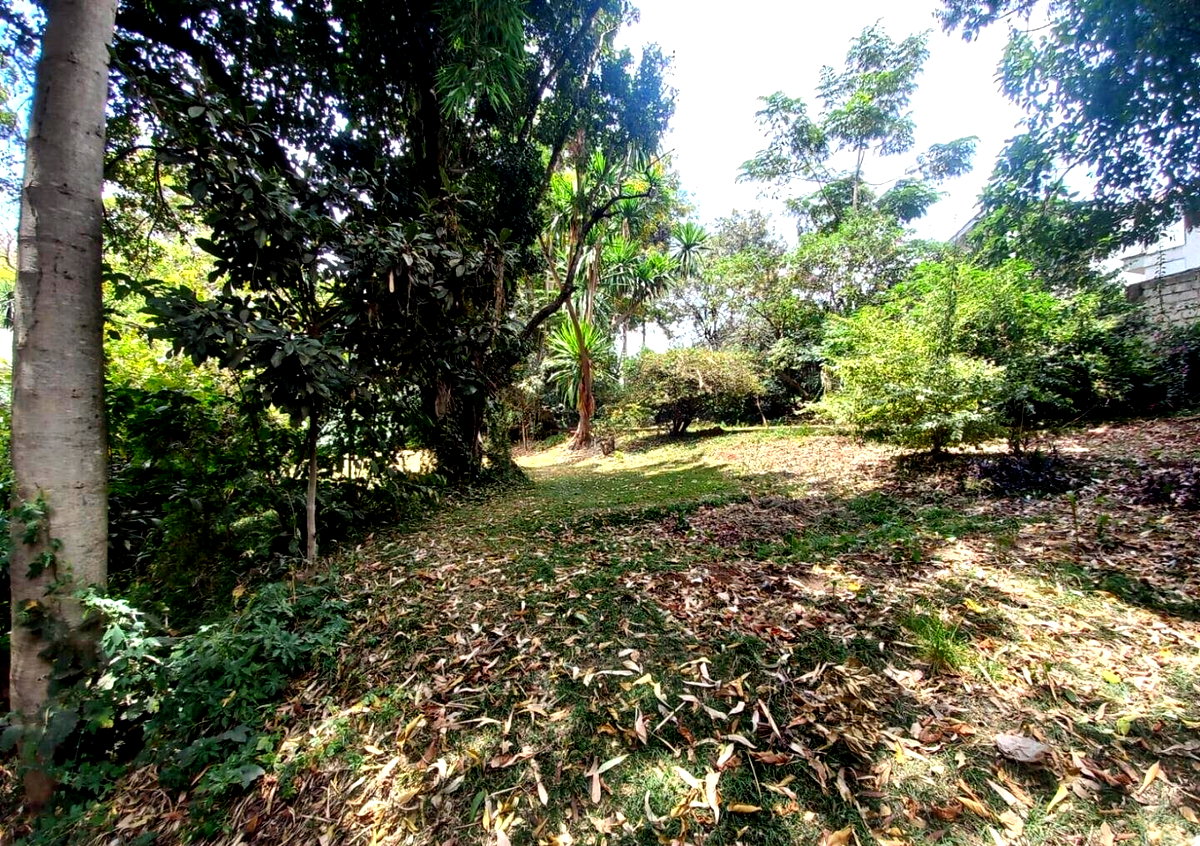 5-Acre Lavington Land at KSh 220M