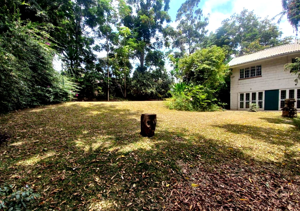 5-Acre Lavington Land at KSh 220M