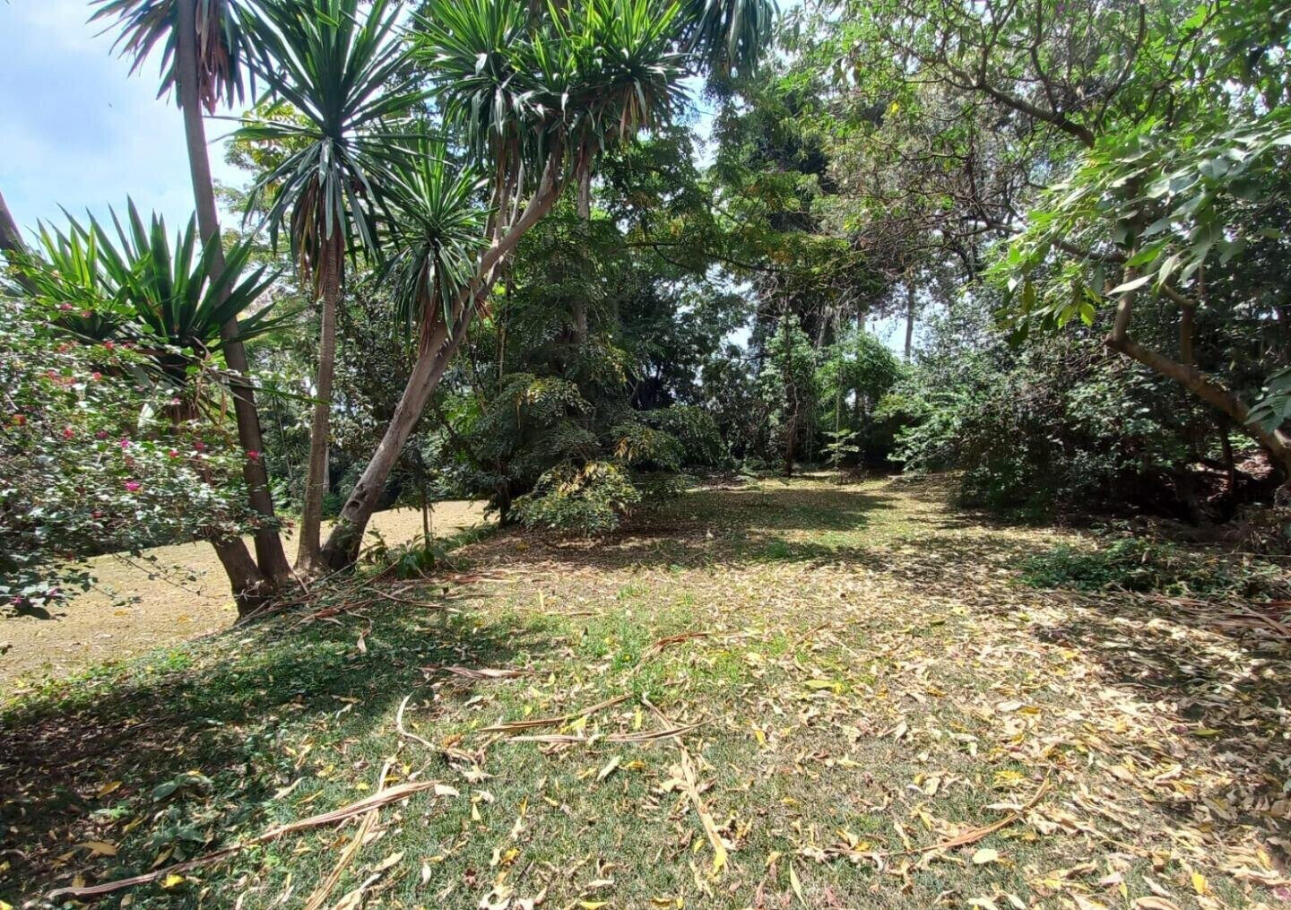 5-Acre Lavington Land at KSh 220M