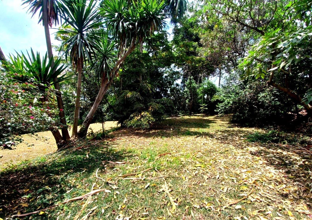 5-Acre Lavington Land at KSh 220M
