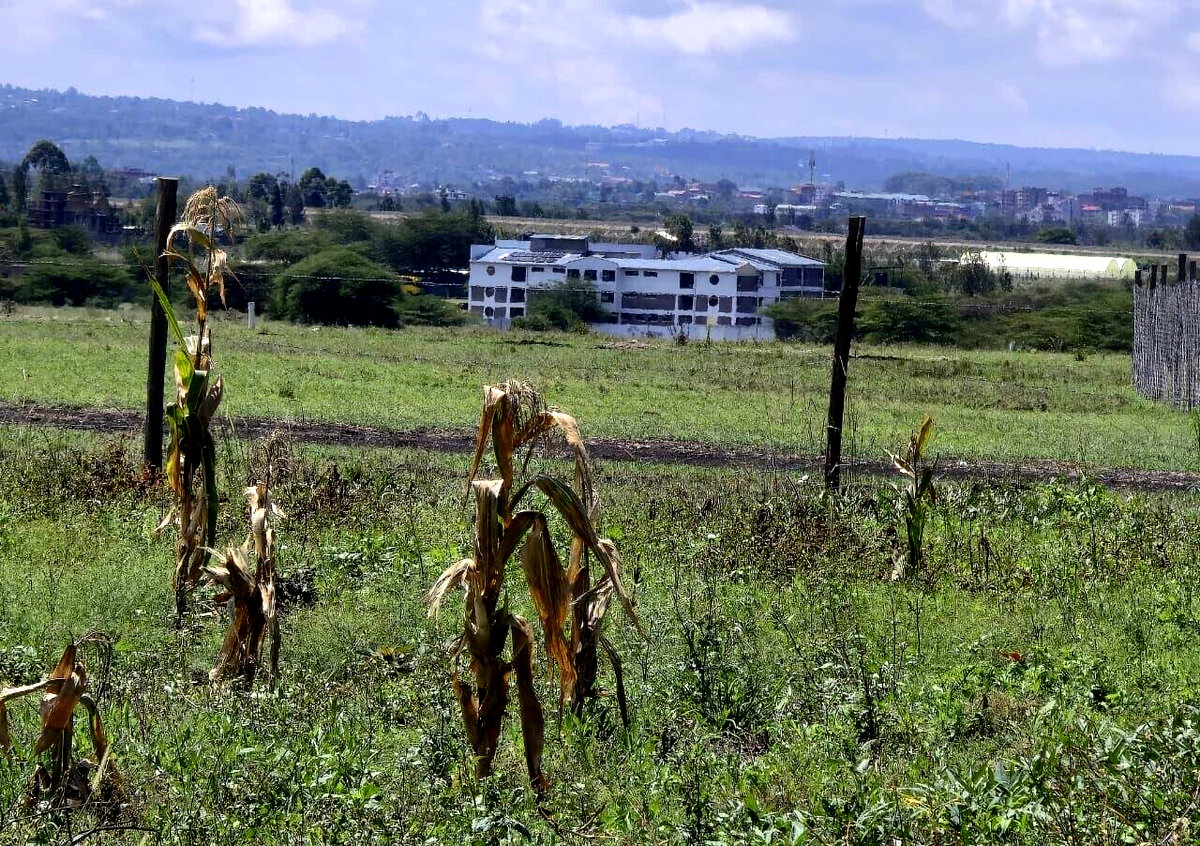 Quarter Acre Plot at KSh 2.8M