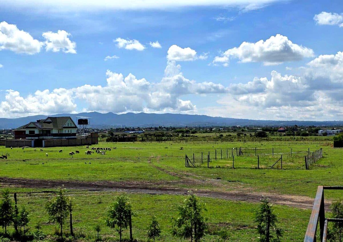 Quarter Acre Plot at KSh 2.8M