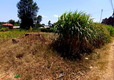 2-Acre Garden Land with Parking - Kitisuru