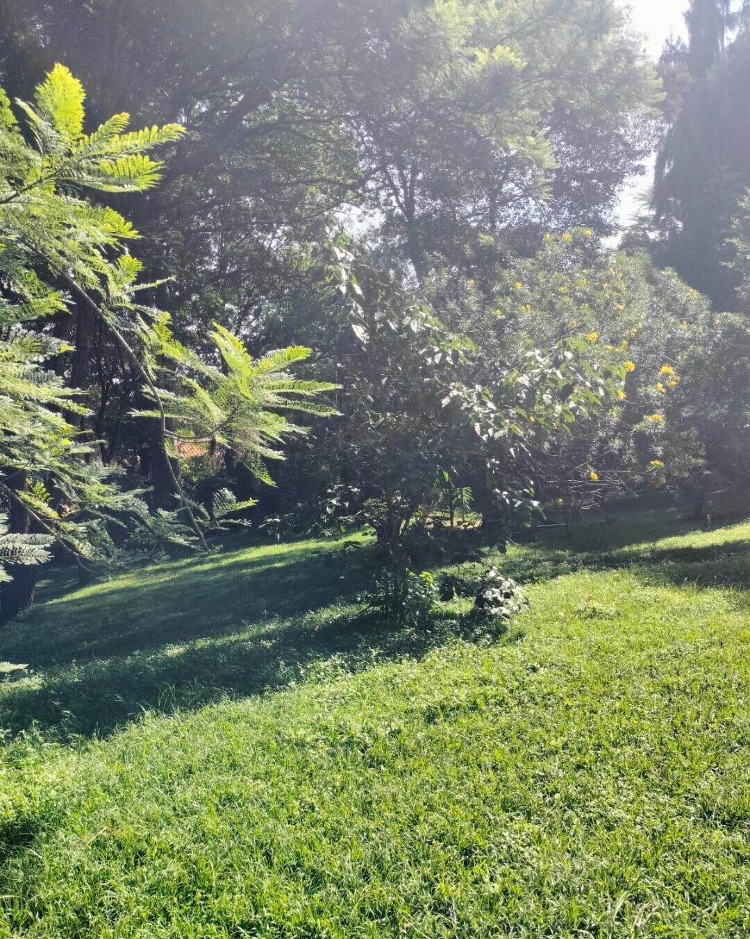 5-Bed Townhouse with Guest House & Pool on 1.3 Acres – Karen