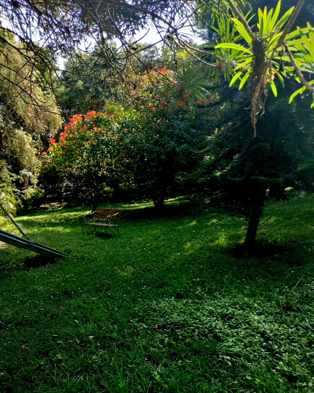 5-Bed Townhouse with Guest House & Pool on 1.3 Acres – Karen
