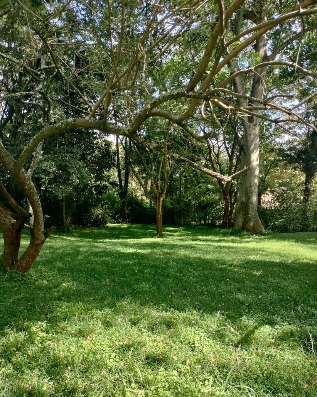 5-Bed Townhouse with Guest House & Pool on 1.3 Acres – Karen