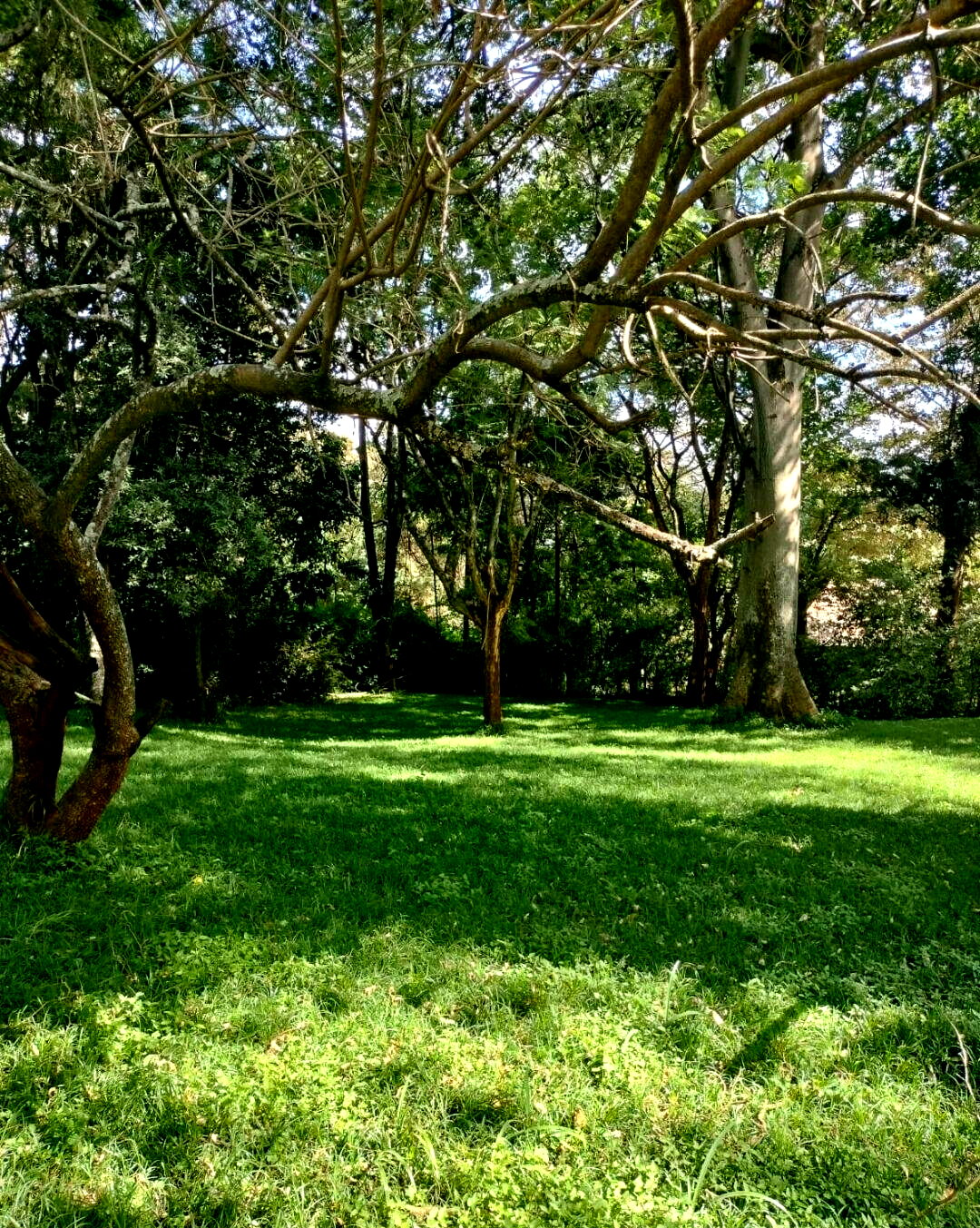 5-Bed Townhouse with Guest House & Pool on 1.3 Acres – Karen