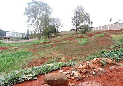 2-Acre Ridgeways Land for KSh 240M
