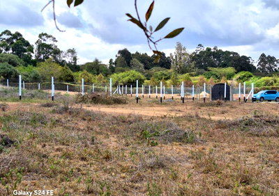 Half Acre Karen Gem at 36M