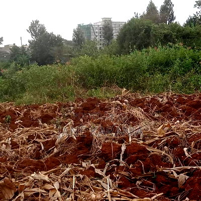 Prime Plot Kasarani Half Acre Near St.Franscis Maternity 25M - Image 4