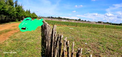 Prime 1/4 Plots for Sale in Marura Kimumu in Eldoret - Image 2