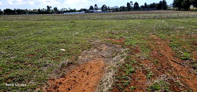 Prime 1/4 Plots for Sale in Marura Kimumu in Eldoret - Image 7