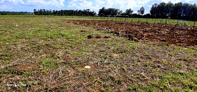 Prime 1/4 Plots for Sale in Marura Kimumu in Eldoret - Image 3