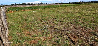 Prime 1/4 Plots for Sale in Marura Kimumu in Eldoret - Image 5