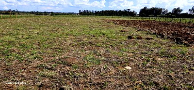 Prime 1/4 Plots for Sale in Marura Kimumu in Eldoret - Image 8