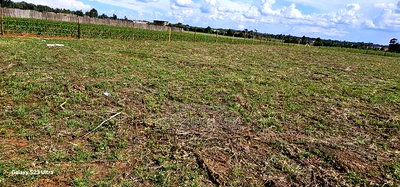 Prime 1/4 Plots for Sale in Marura Kimumu in Eldoret - Image 6