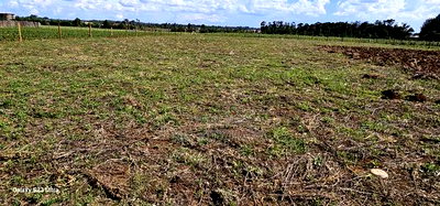 Prime 1/4 Plots for Sale in Marura Kimumu in Eldoret - Image 4