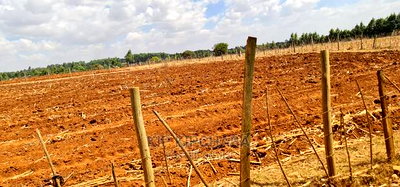 1/2 Acre for Sale in Kapseret Lemook Bypass in Eldoret - Image 6