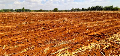 1/2 Acre for Sale in Kapseret Lemook Bypass in Eldoret - Image 3