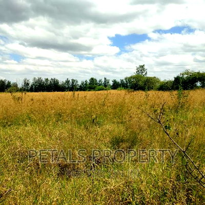 2 Acres for Sale in Tumaini Kabarak - Image 3