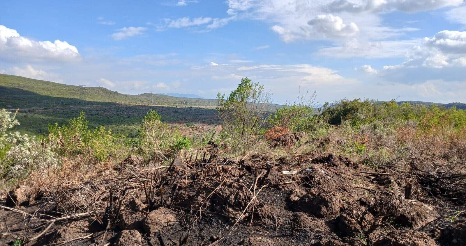 11-Acre Land at KSh 3.2M