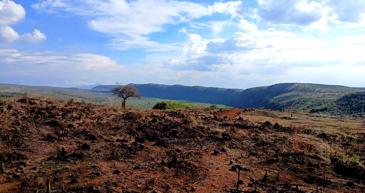 11-Acre Land at KSh 3.2M