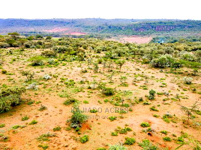 Prime 10 Acres Kimuka Distress Sale at 4m Per Acre - Image 9