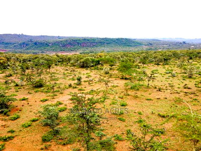 Prime 10 Acres Kimuka Distress Sale at 4m Per Acre - Image 13