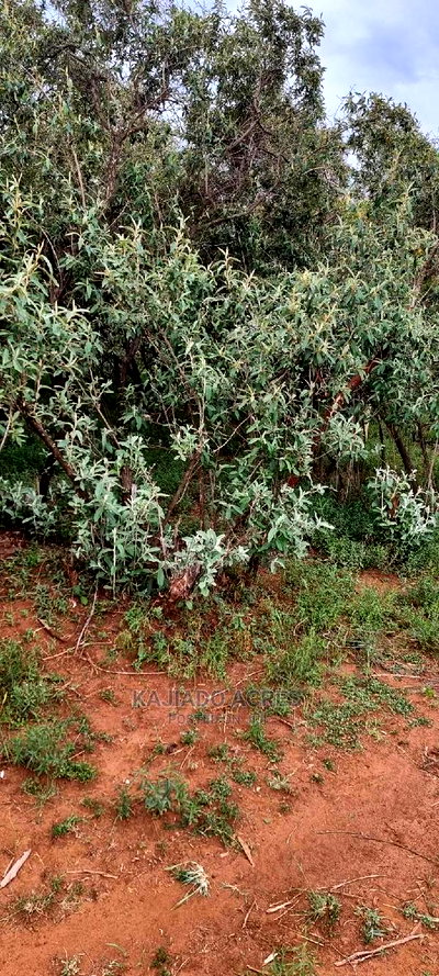 Prime 10 Acres Kimuka Distress Sale at 4m Per Acre - Image 7