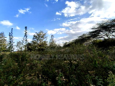 6-Acre Piece of Land Is on Sale in Kiserian Touching the Main Road - Image 3