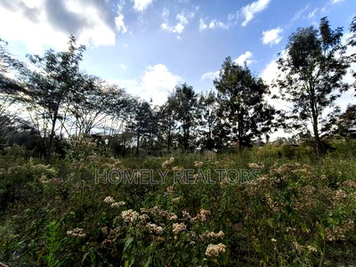 6-Acre Piece of Land Is on Sale in Kiserian Touching the Main Road - Image 5