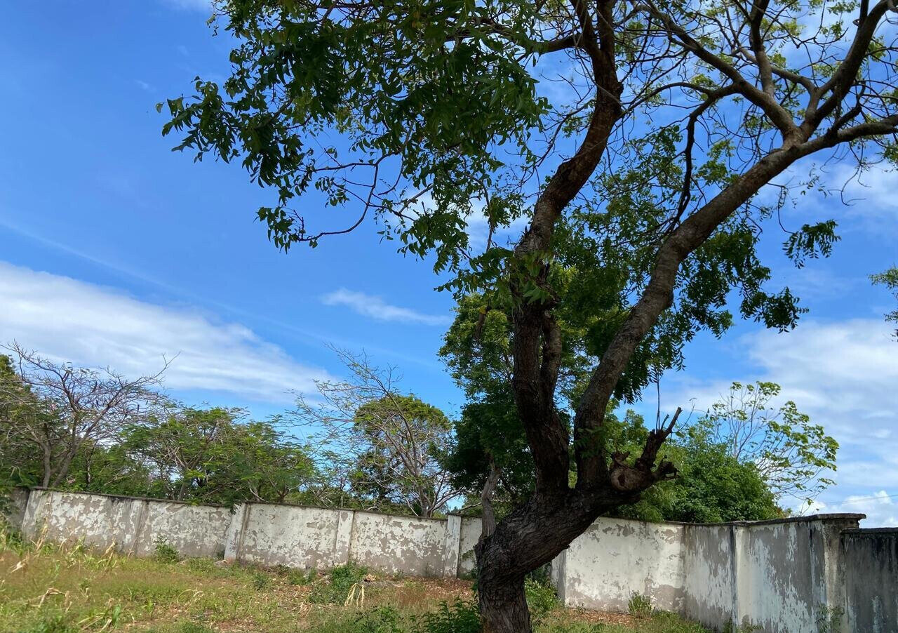 1.6 Acres Beachfront Land