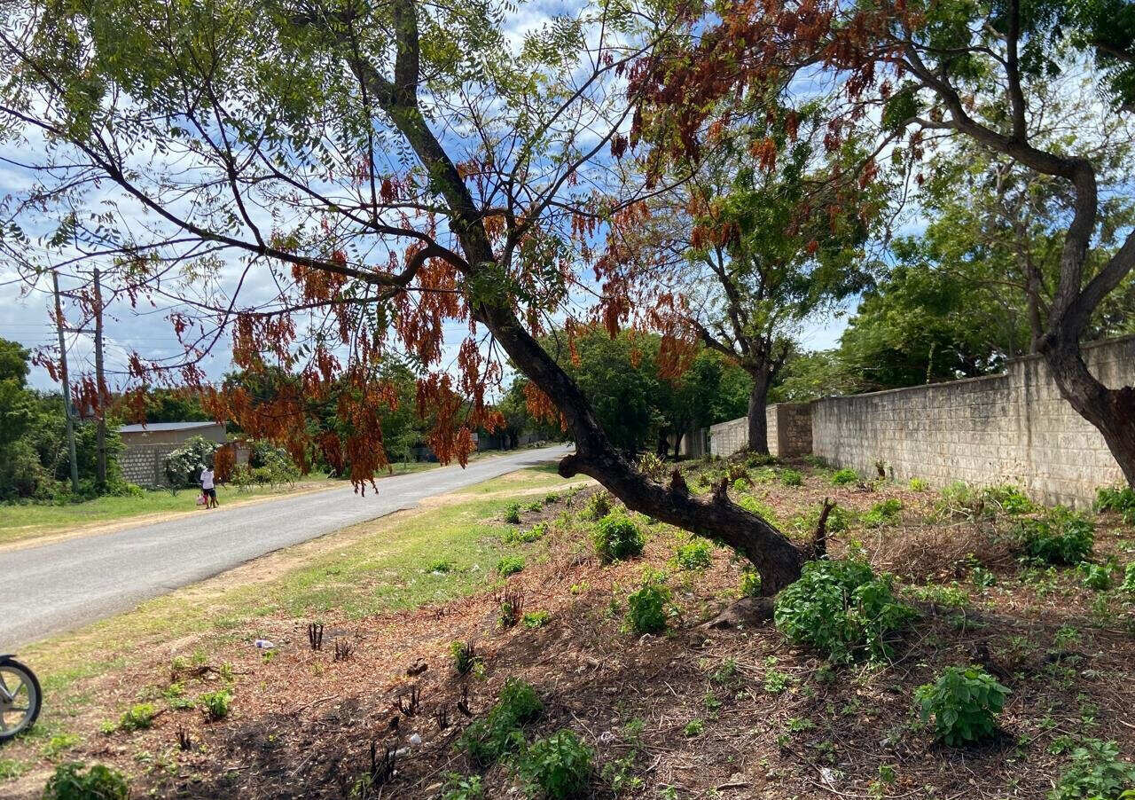 1.6 Acres Beachfront Land