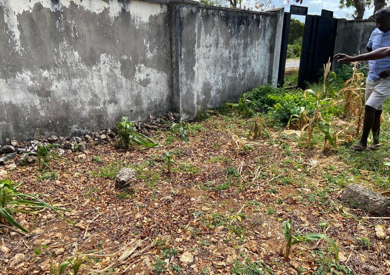 1.6 Acres Beachfront Land