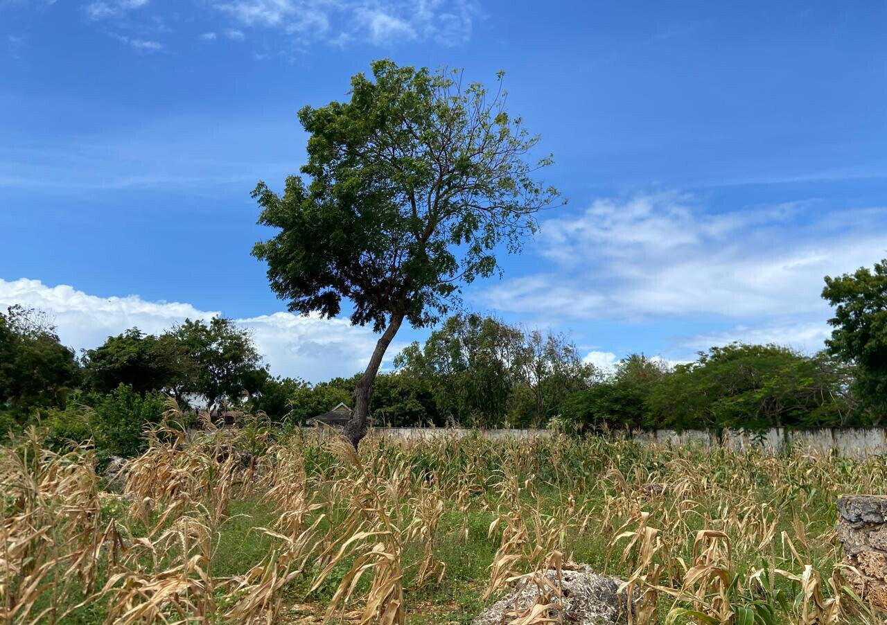 1.6 Acres Beachfront Land