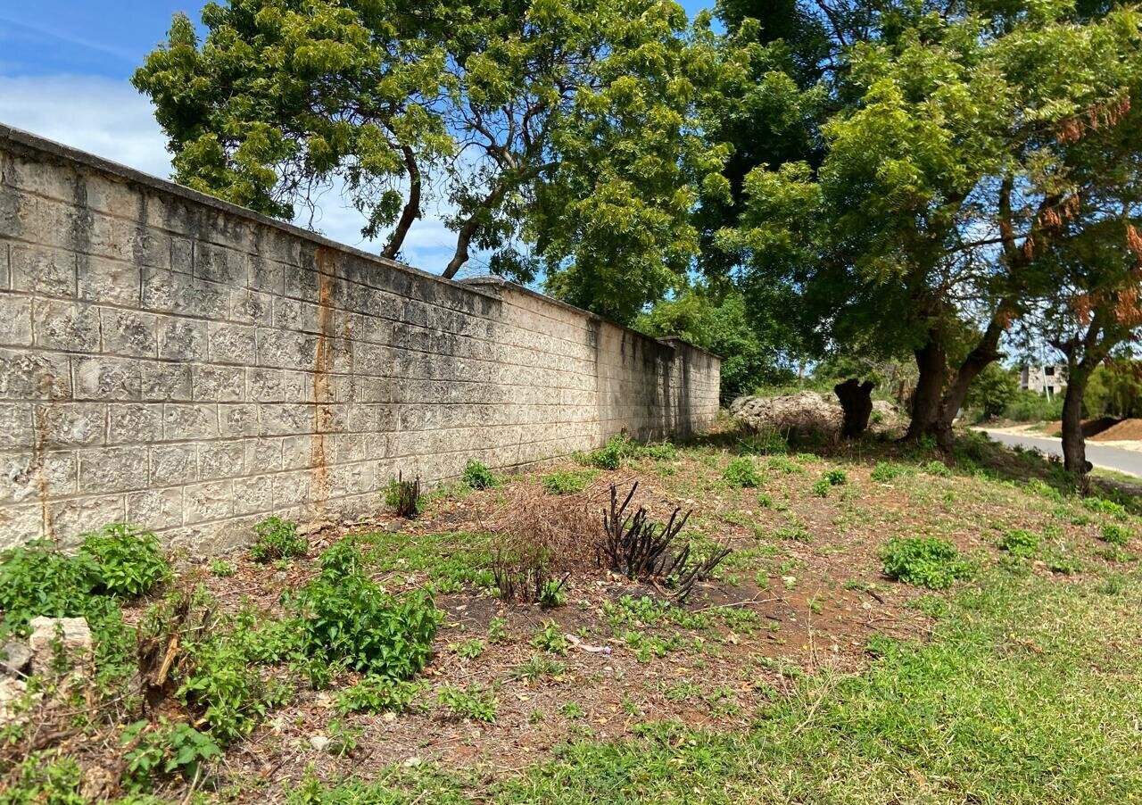1.6 Acres Beachfront Land