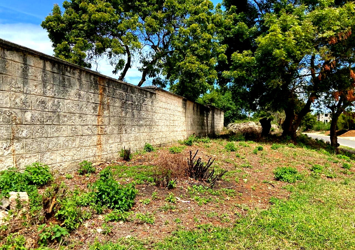 1.6 Acres Beachfront Land