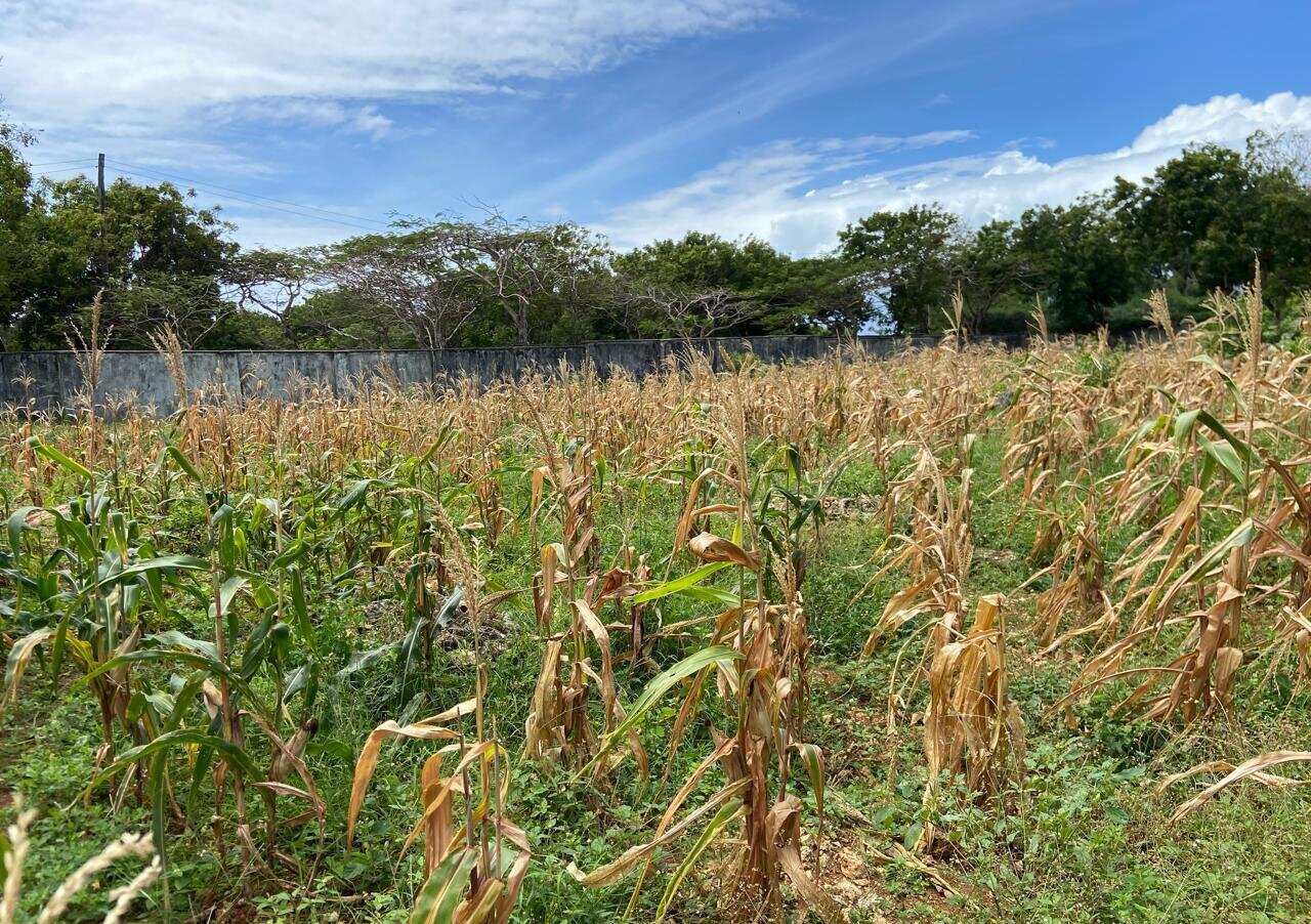 1.6 Acres Beachfront Land