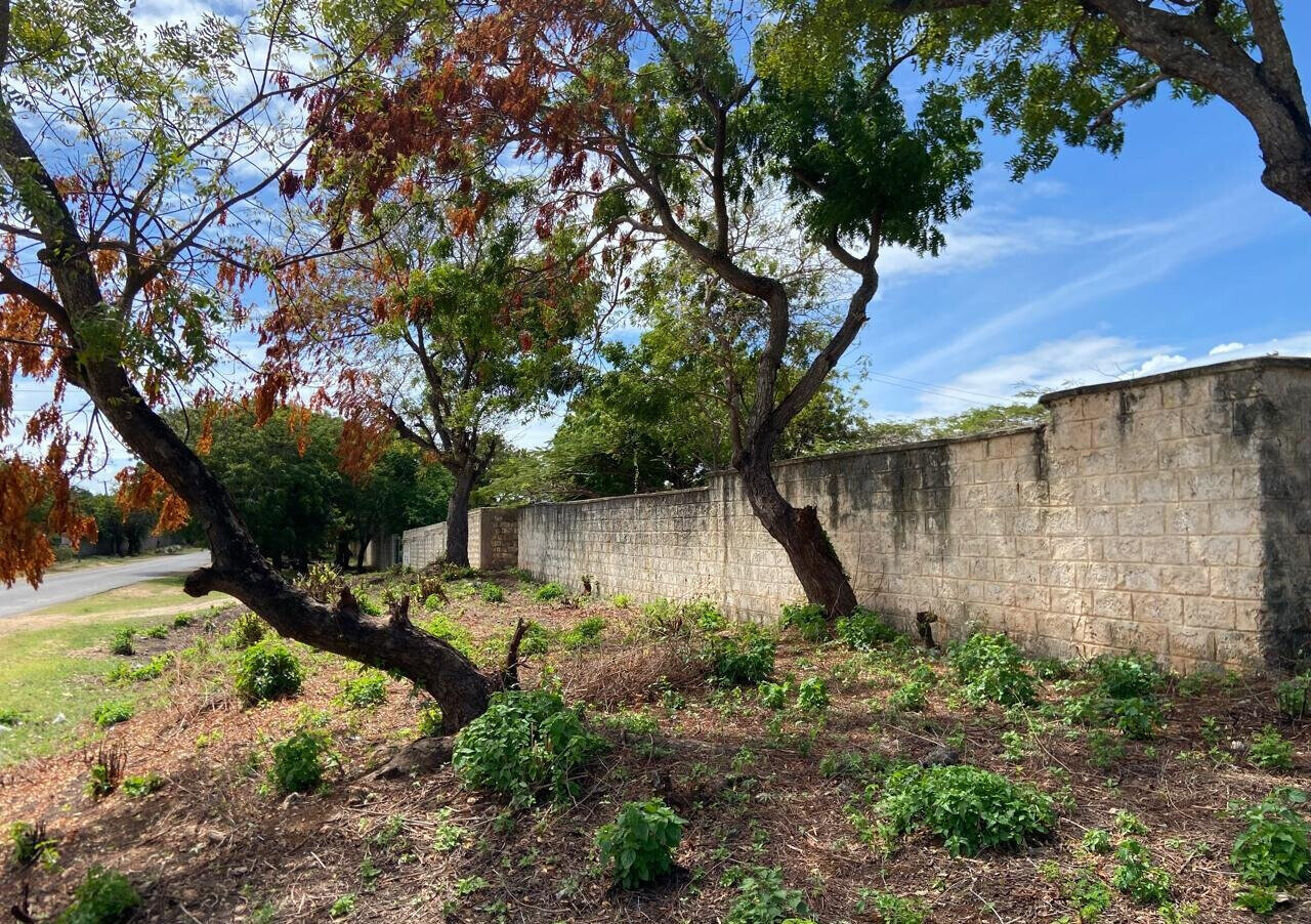 1.6 Acres Beachfront Land