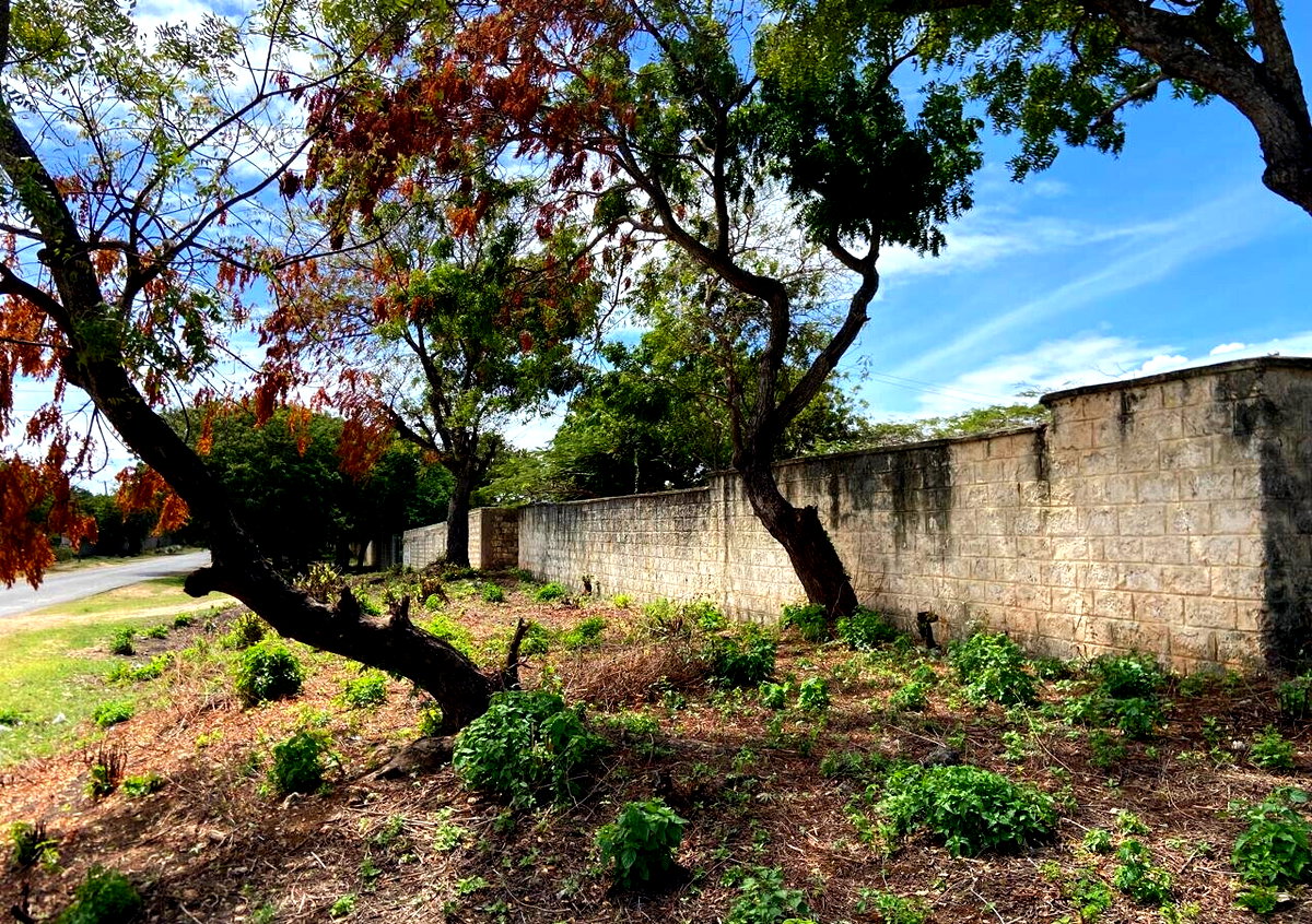1.6 Acres Beachfront Land