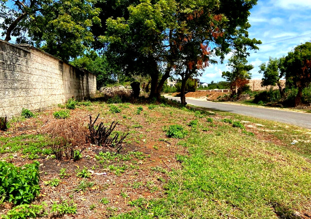 1.6 Acres Beachfront Land