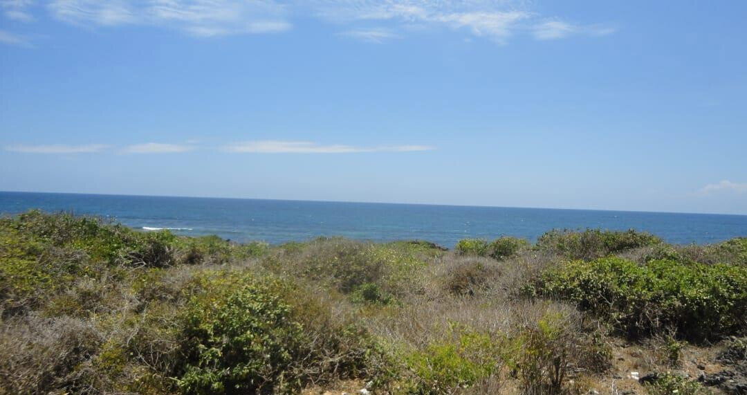 1-Acre Beach Plot with Garden