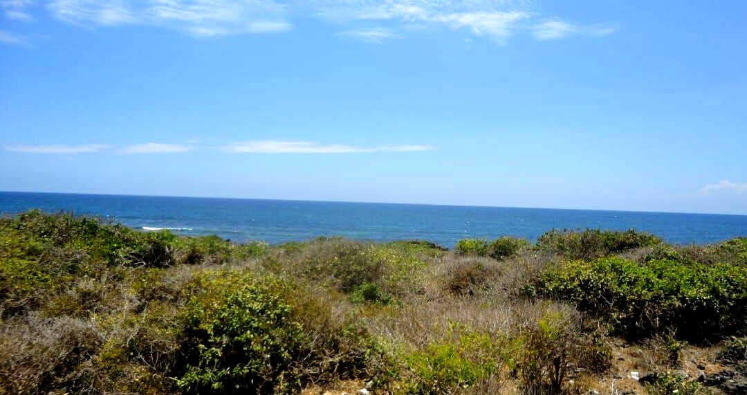 1-Acre Beach Plot with Garden