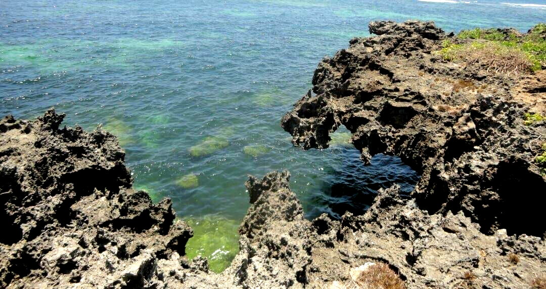 1-Acre Beach Plot with Garden